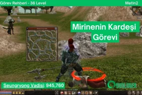 ginseng toplayicisi